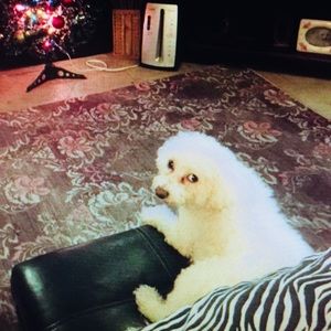 Meet your Posher, Marisol